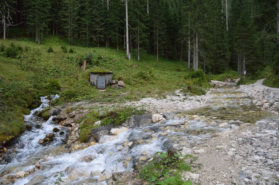 stream along the green trail