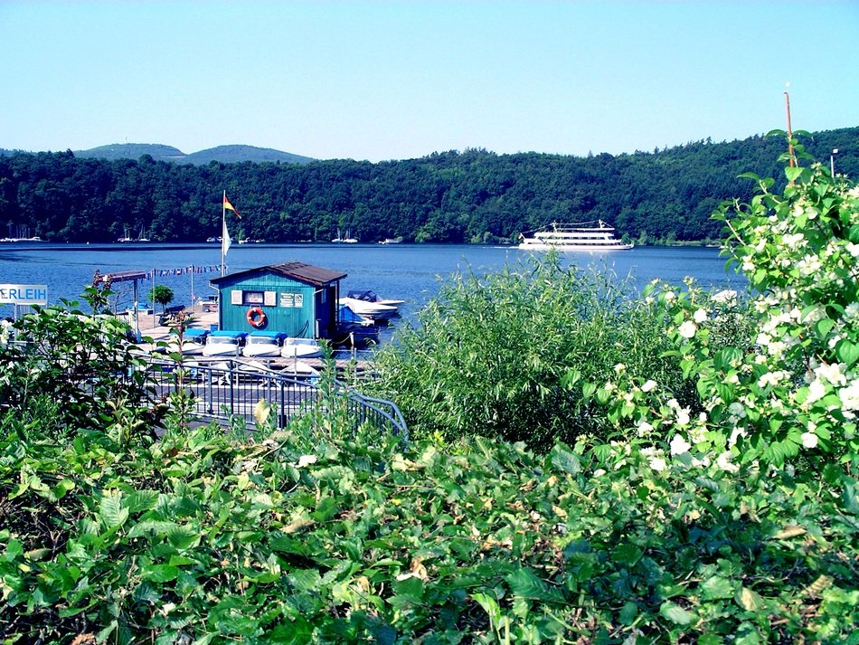 beyond the green trees ship on the water