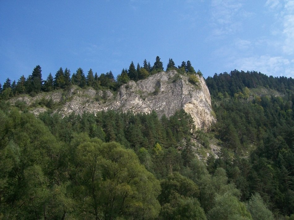 Forest on the rocks in Poland