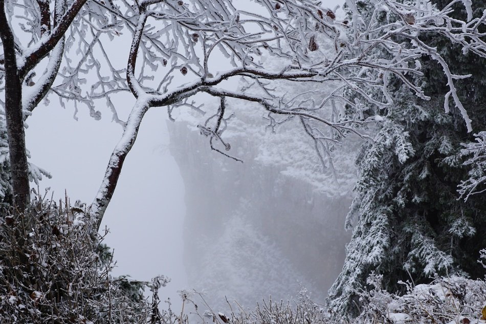 white rocks and trees in the winter in Switzerland