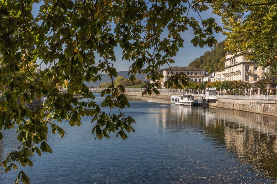 white buildings on the river bank behind the branches