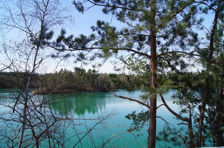 lake with blue water near the forest