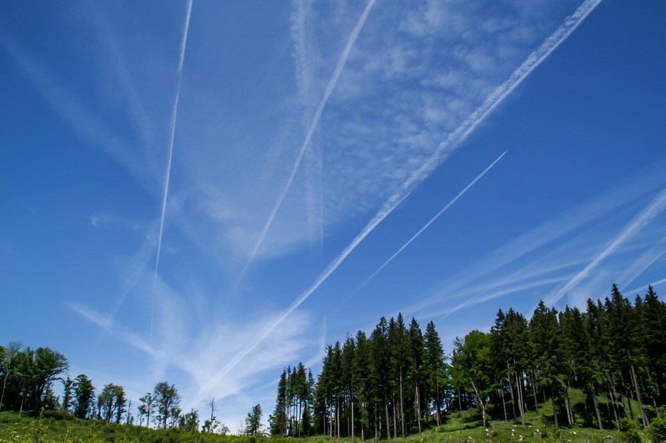 air trails in the sky above the forest
