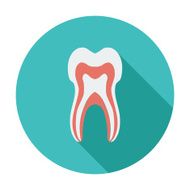 Tooth Icon N4