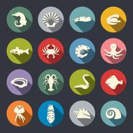 sea life N21