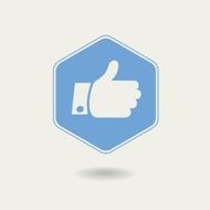 Vector Thumb up Hexagonal Icon flat design