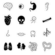 internal human organs vector icon set