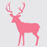 Silhouette of a Deer