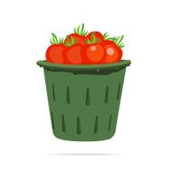 Simple Basket Of TomatoesOn A White Background