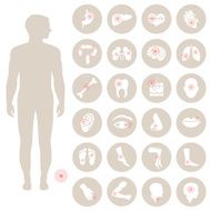 Body Pain N2
