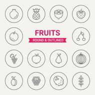 Set of round and outlined fruits icons