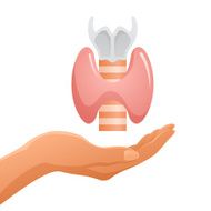 Hand Holding Thyroid Gland