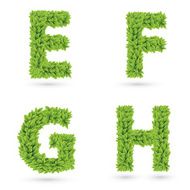 Letters of green leaves collection
