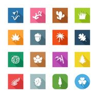 Flat Icons - Botanic
