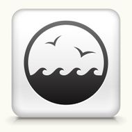 White Square Button with Waves and Birds