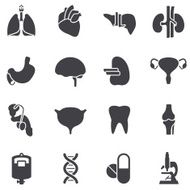 Organs icons