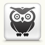 Square Button with Owl N2