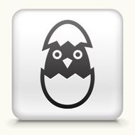 Square Button with Hatching Bird