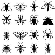Insects And Bugs - Black Series