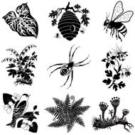 vector forest wildlife illustrations in black and white