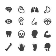 Human Anatomy Icons - Acme Series