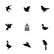 birds icons set