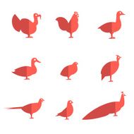 Farm bird flat icons