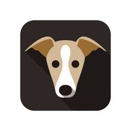 grayhound dog face flat icon