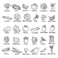 Vector hand drawn vegetables N2