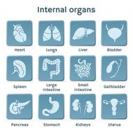 Blue icon set with internal orangs for medicine infographic