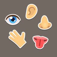 Senses Icons N2