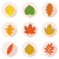 flat icons leaves