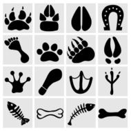 People and pets footsteps