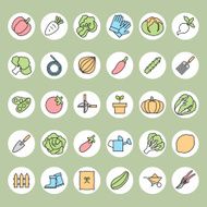 Vegetable garden and Gardening equipment vector icon
