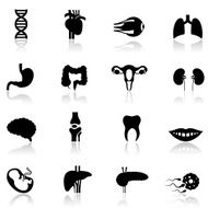 Human Body Icon Set