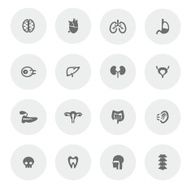 Organ Icon Set N2