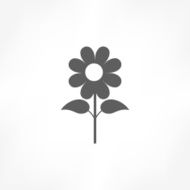 Flower Icon N3