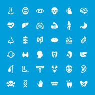 Internal Organ Anatomy vector icons set