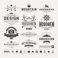 Retro Vintage Insignias or Logotypes set vector design elements N3