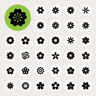 Set of Flower icons N5