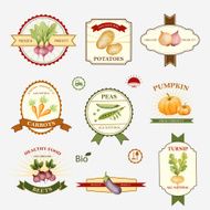 Vegetables set of label design