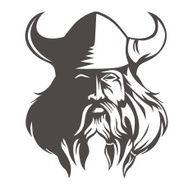 Viking N6
