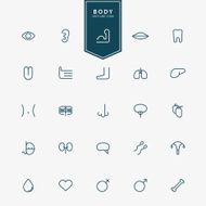 25 human body minimal line icons