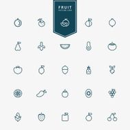 25 fruit minimal line icons