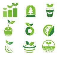 Green Icon N4