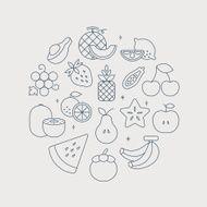 fruits line icon circle set