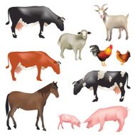 Farm Animals N39