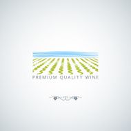 wine field background