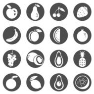 Vector Set of Fruit Icons N2