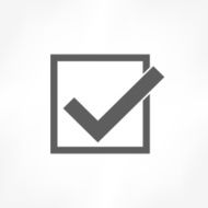 Check Mark Icon N6